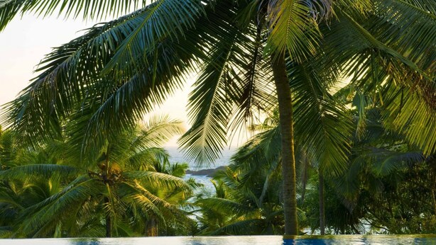 Una piscina rodeada de palmeras y vista al océano.