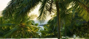 高架家庭海灘住宅擁有海景