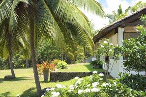 Escape to a serene tropical haven surrounded by lush gardens and a traditional thatched roof building.