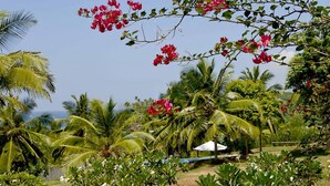 Un jardín tropical con palmeras y plantas florecientes.