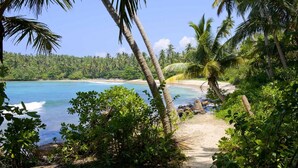 Un sendero bordeado de exuberante vegetación y palmeras que conduce a una playa de arena con aguas azules cristalinas.