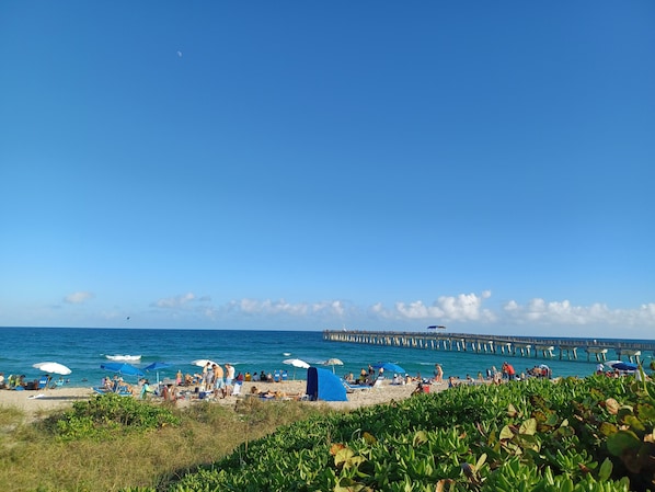 Uma praia com pessoas, guarda-sóis e um píer ao fundo.