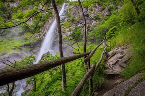 Miscellaneous - Panorama maggiore apartment (Locarno)