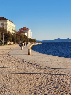 A pebbled beach with a promenade lined with trees and buildings. - Apartment Cedric - pure well-being, 200m to the beach, free of charge. W-LAN and parking (Vir)