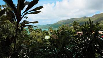 A tropical landscape with lush greenery and a view of distant hills.