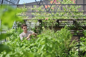 Una persona cuidando plantas en un invernadero con estanterías metálicas y techo de malla.