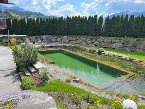 A rectangular pool with a stone border, surrounded by greenery and a stone wall.