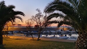 Un port de plaisance où sont amarrés des bateaux, entouré de palmiers et bordé d’une zone herbeuse.