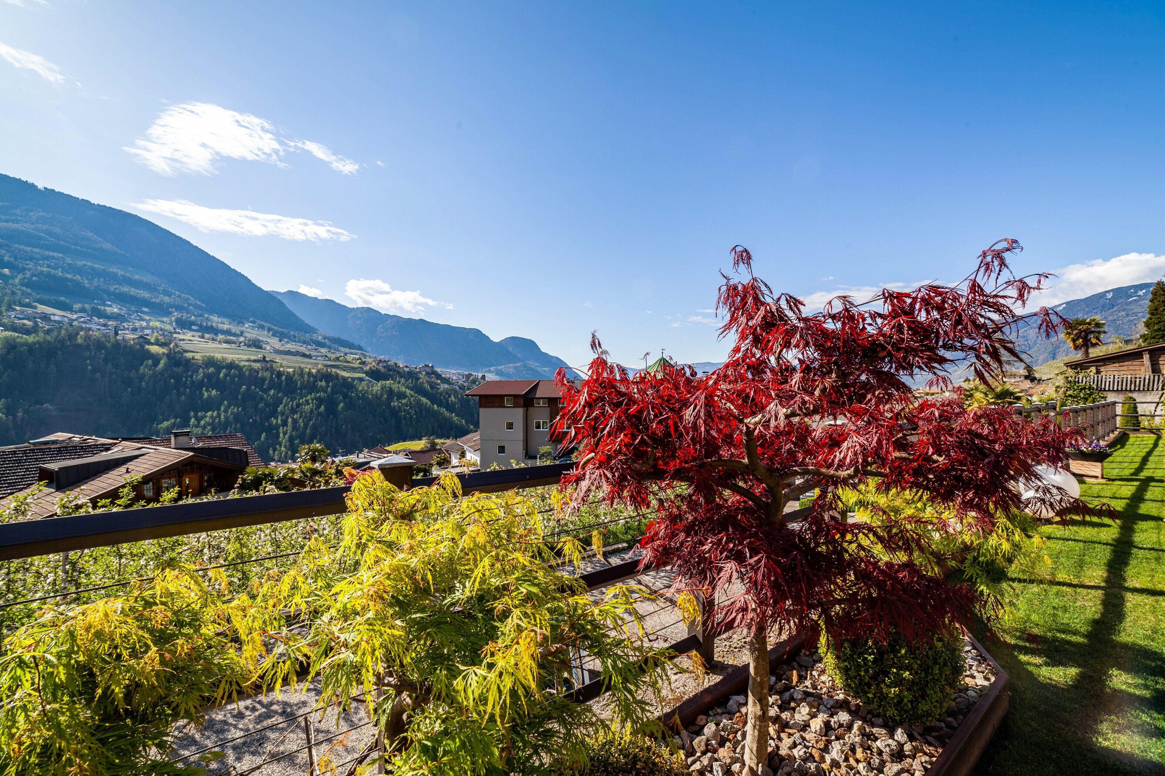 Un paisaje montañoso con una casa y un árbol de hojas rojas.