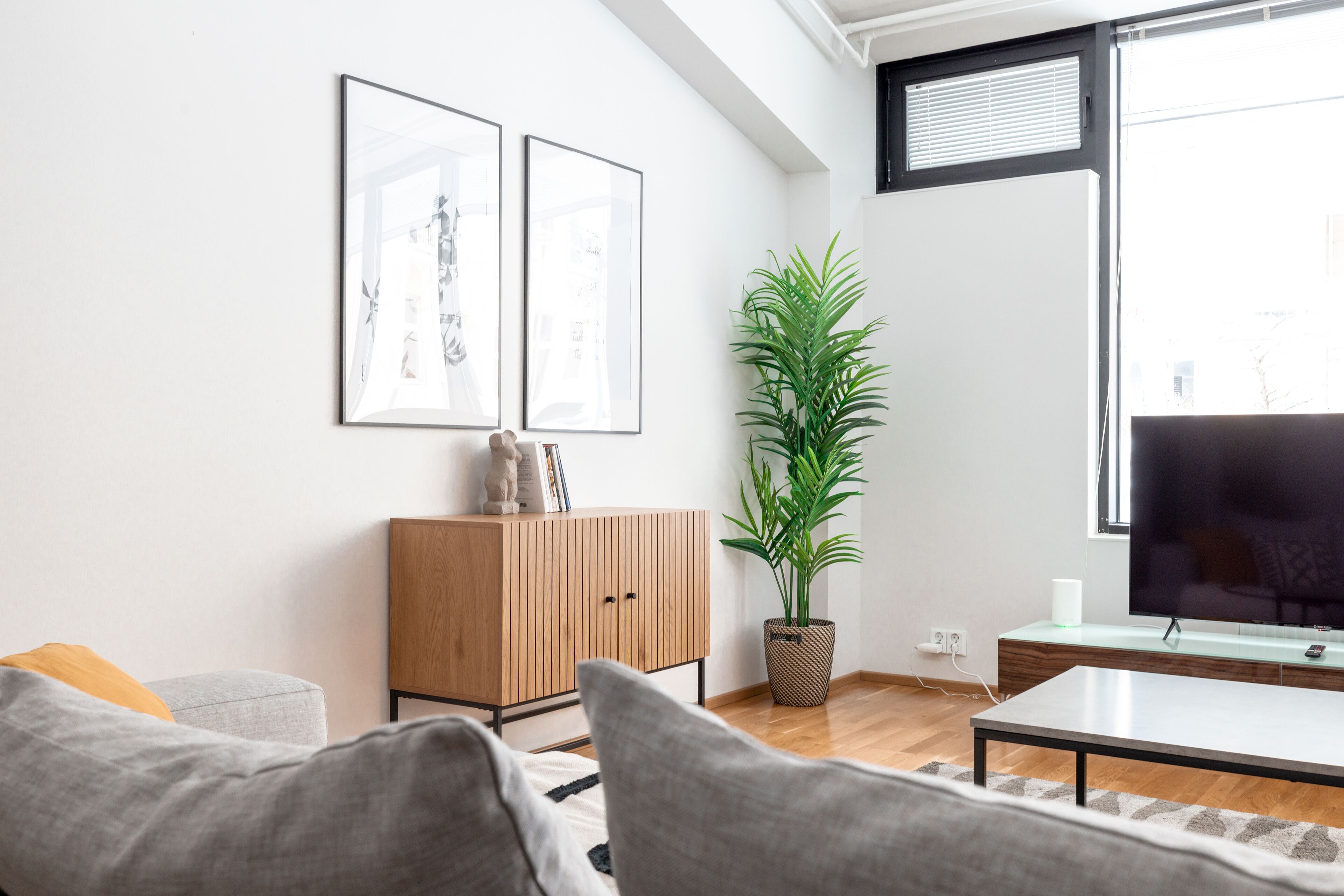 Premium Duplex | Living area | 36-inch TV with cable channels