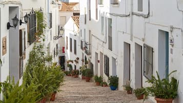 Área da propriedade