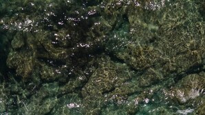 Una playa arenosa con agua cristalina y un promontorio rocoso.