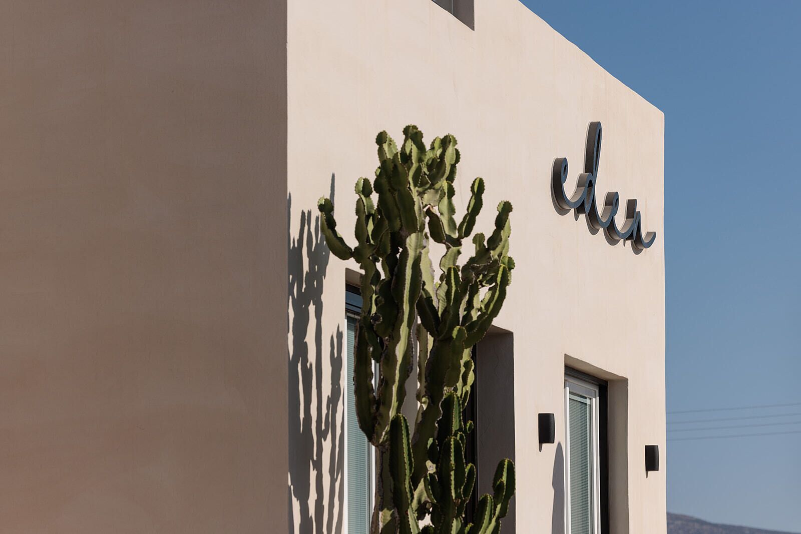 A building with a large cactus in front and a sign that reads "edus".