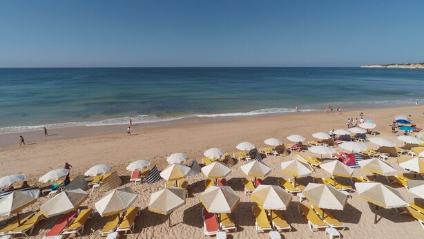 Una spiaggia con file di lettini e ombrelloni, una battigia sabbiosa e un mare cristallino.