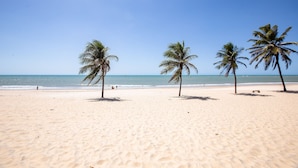 A beach with three palm trees and a clear blue sky. - Kariri 319A (Caucaia)