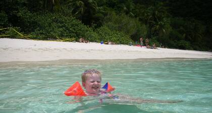 Explore the wonder and treasures of Westin St John. USVI