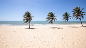 Ein Strand mit drei Palmen und blauem Himmel.