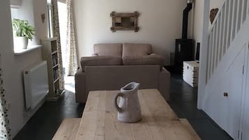 TV, fireplace, DVD player, books