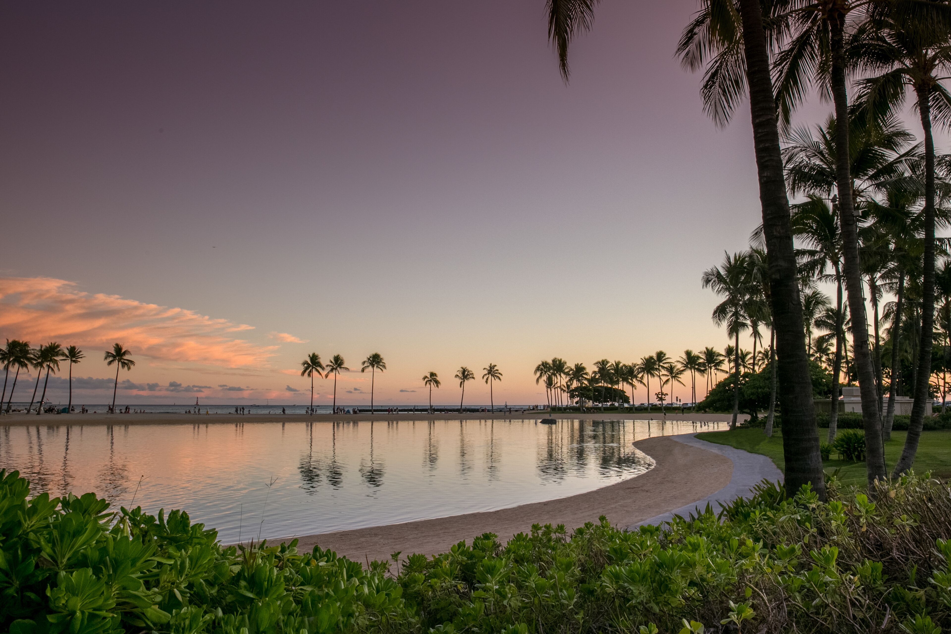 A beach with palm trees and a calm sea at sunset.