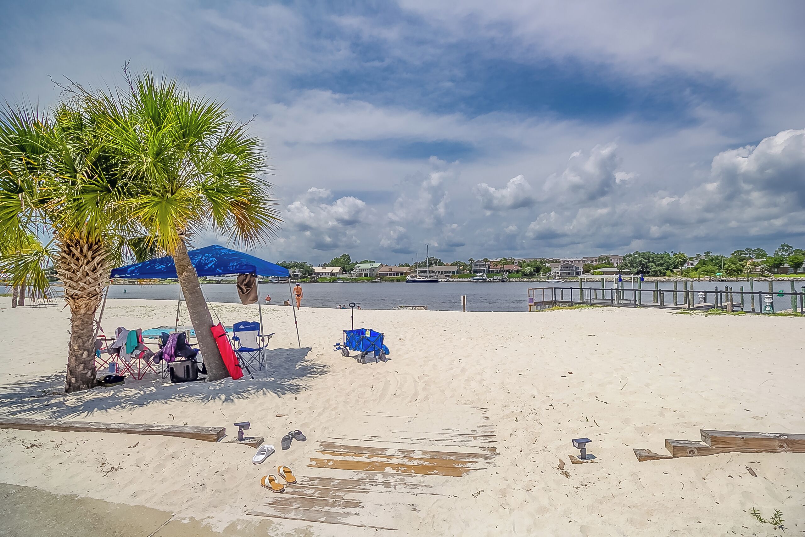 Una playa con una palmera, sombrillas azules y sillas de playa.