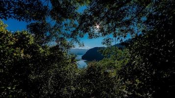 Vista desde la propiedad