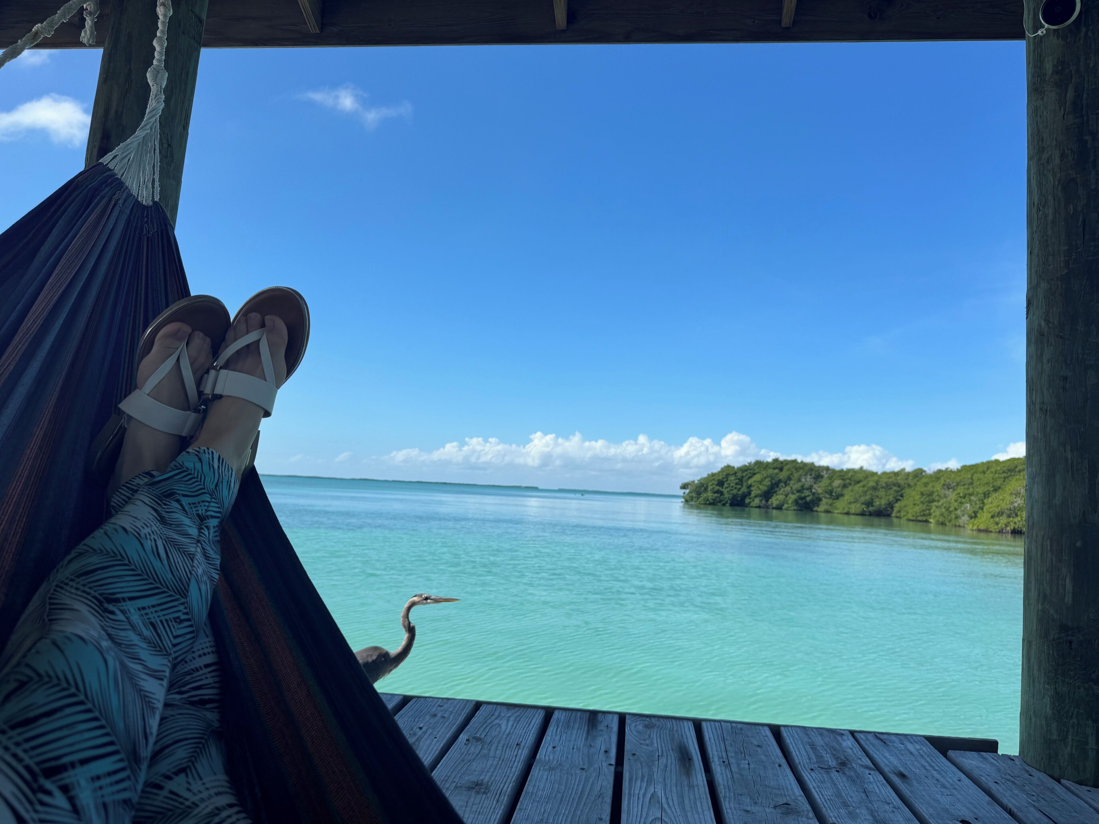 A hammock with a view of turquoise water and a green island.
