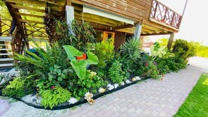 A garden with a variety of plants and a paved walkway.