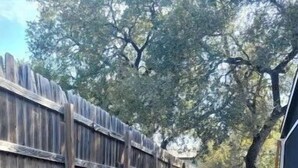 A pathway leading to a wooden fence, with a stone border and a tree-lined background. - Golden oak one bedroom w a cool patio for vacation (Austin)