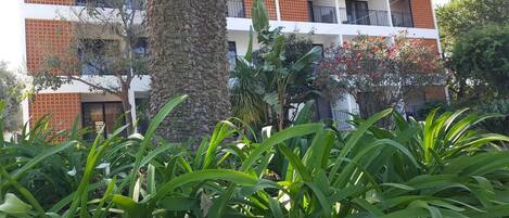 A multi-story building with balconies, surrounded by lush green plants.
