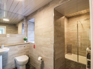 Shower, hair dryer