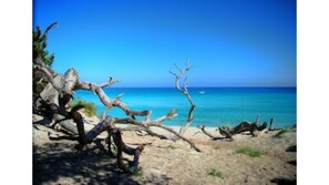 Beach nearby - L'ARRIERE-SAISON IN SAINT-FLORENT (pool closed): 700 euros per week (Saint-Florent)