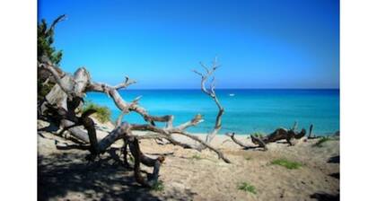 PROMOTION SUR L'ARRIERE-SAISON A SAINT-FLORENT: 700 euros la semaine