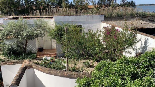Jardim no terraço com diversas plantas e vista para o mar.