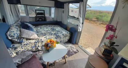 Airstream on a Petting Farm