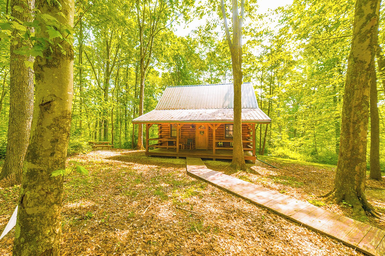 Cabin w/ Hot Tub and Fire Pit
