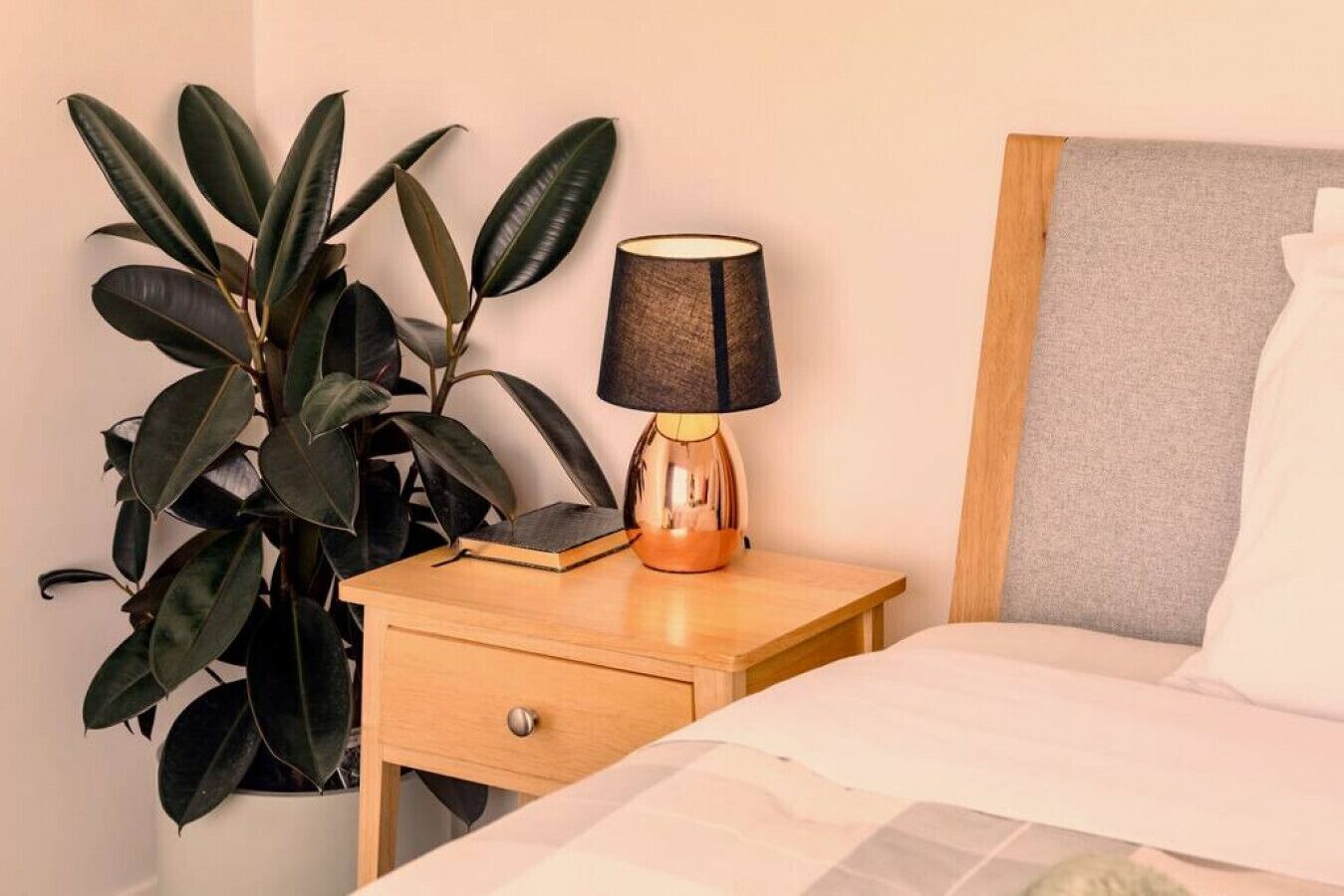 En snyggt bäddad säng med ett vitt överkast, en sänglampa med en mörk skärm, ett träbord vid sängen med en låda och en stor grön växt bredvid sängen.