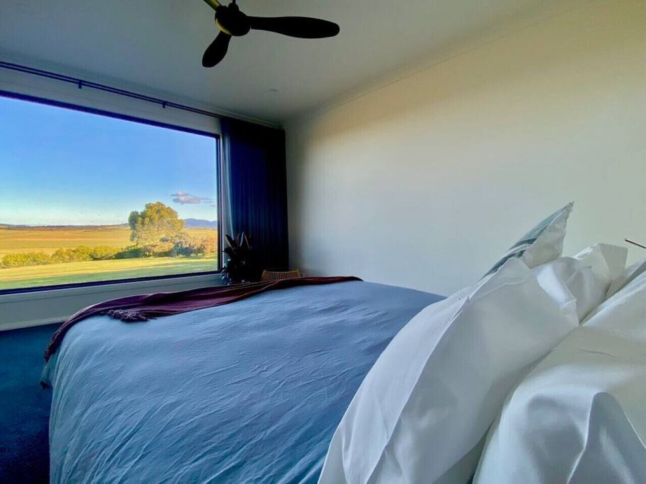 A hotel room with a bed, a window, and a ceiling fan.