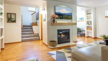 Smart TV, fireplace, books