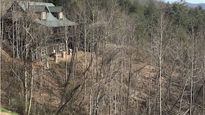 A two-story house with a sloped roof, surrounded by dense trees. - Cute cabin😊Pretty Views! Clean! ONLY 1 MILE TO TOWN! (Hiawassee)