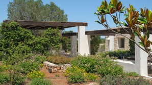 Un bâtiment en pierre doté d’une structure en forme de pergola, entouré de diverses plantes et fleurs.