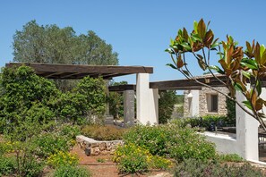 المنطقة المحيطة بالمنشأة