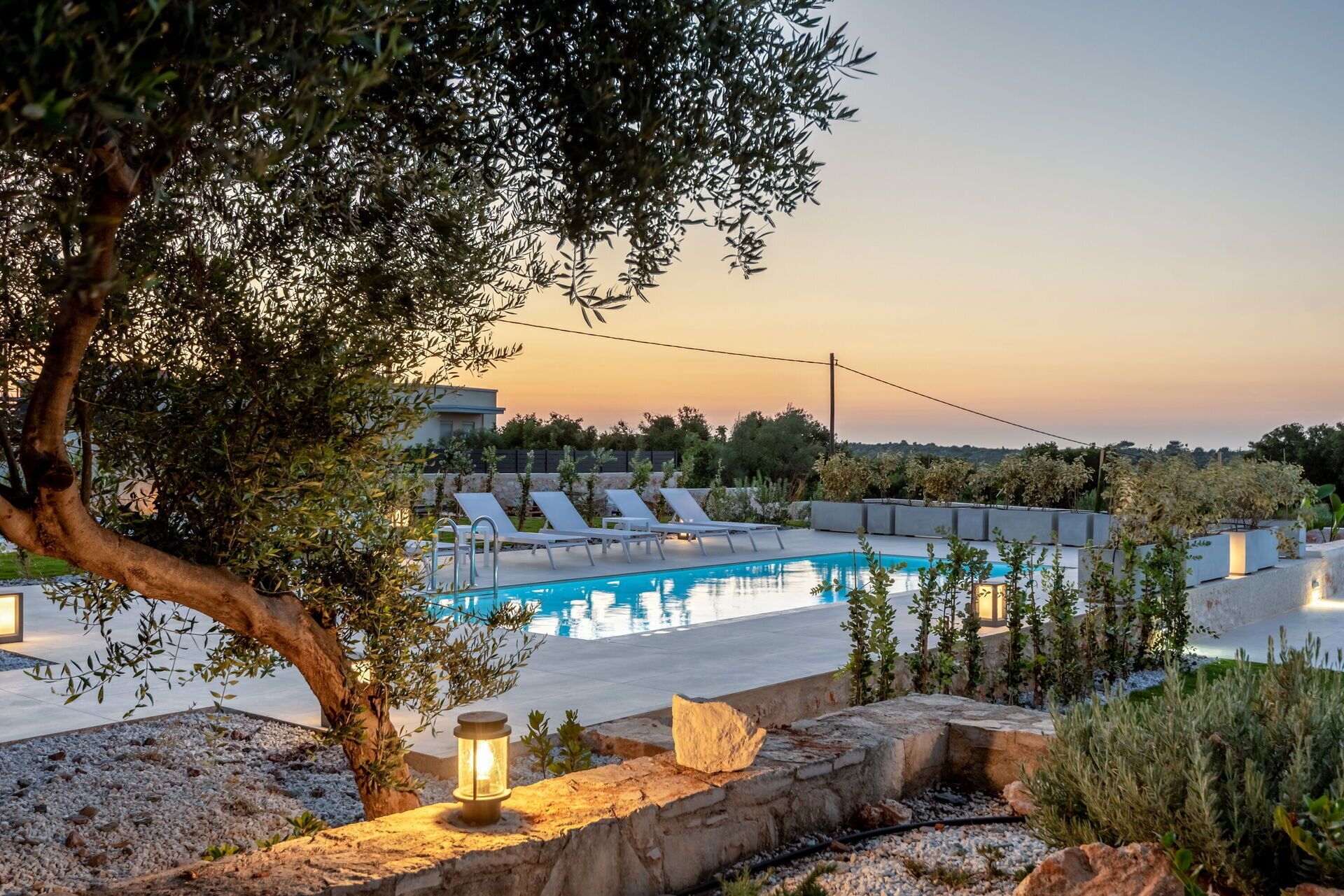 A rooftop pool with lounge chairs, surrounded by olive trees and a stone wall.