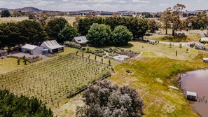 Property grounds - The Barn at Crofters Fold ~ Daylesford Macedon Region ~ Bohemian Barn! (Pipers Creek)