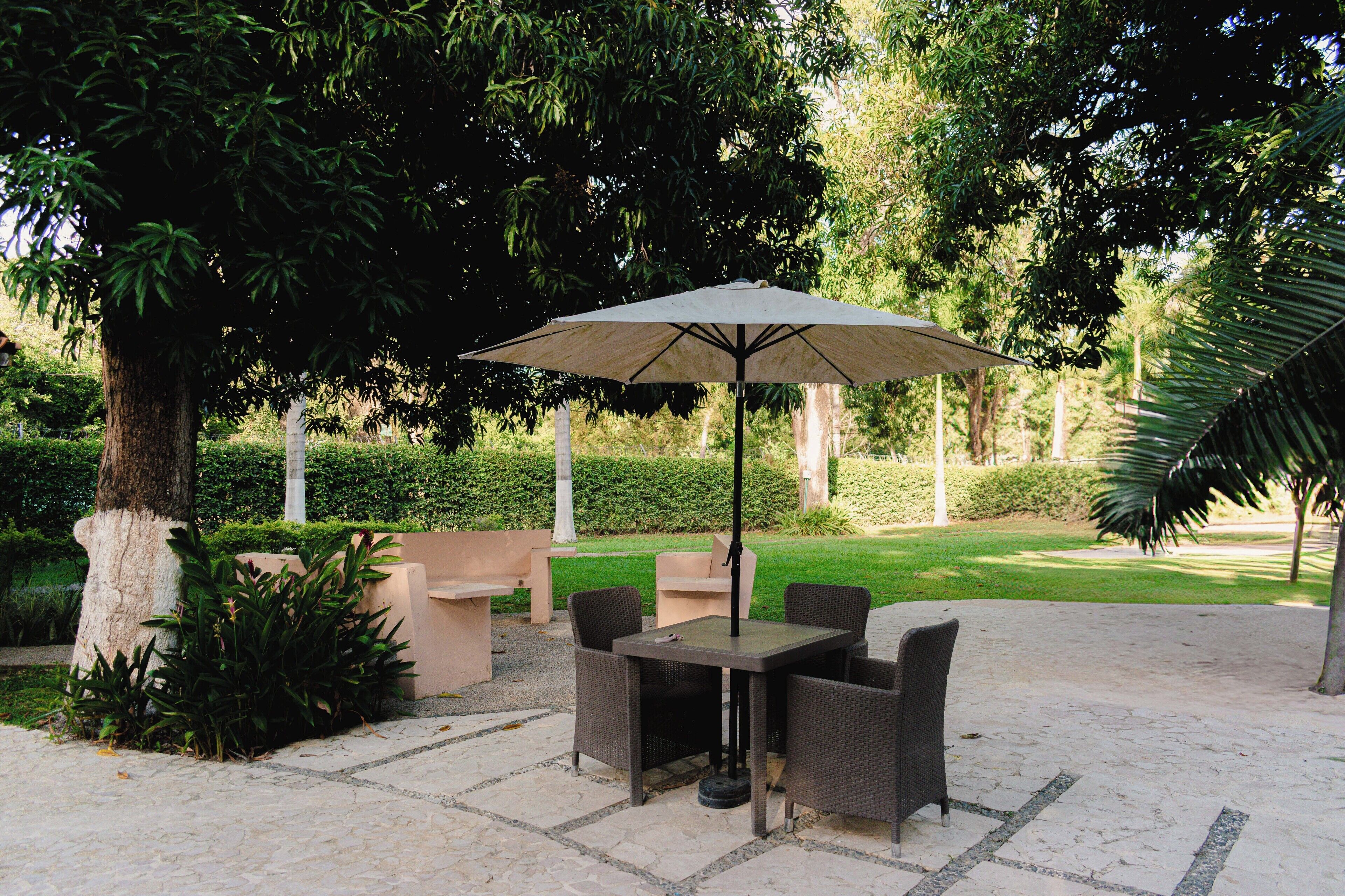 Un patio al aire libre con una mesa y sillas, rodeado de abundante follaje y árboles.
