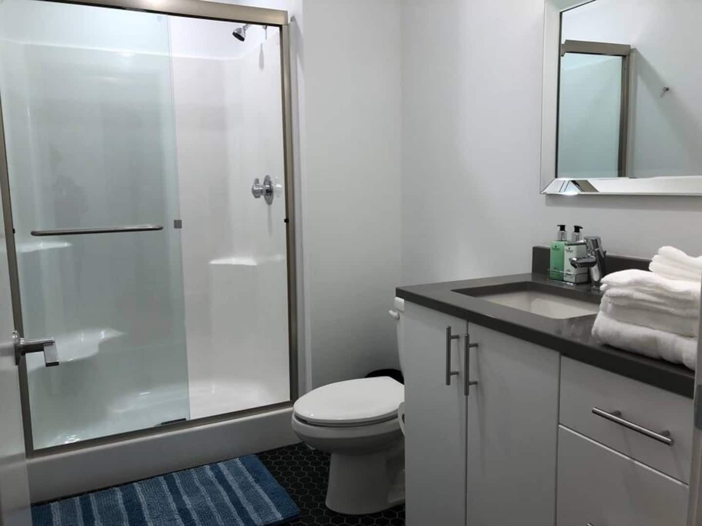 A modern bathroom with a glass shower enclosure, a toilet, a sink with a mirror above, and a towel rack.