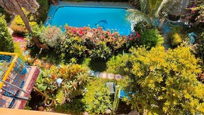 Une piscine entourée d’une végétation luxuriante et de plantes tropicales.