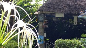 Une construction à toit de chaume, agrémentée d’une enseigne, entourée d’une végétation luxuriante et de plantes en pot.