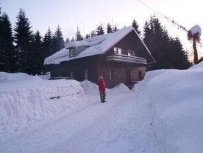 Exteriör
