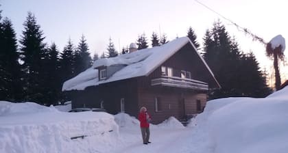 Haus Oseleck,
Ferienhaus mit 4 Wohnungen und Gemeinschaftsraum mit Kaminofen