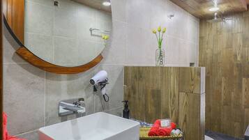 Shower, hair dryer, towels